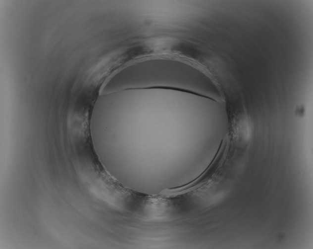 X0000110990376200906191433