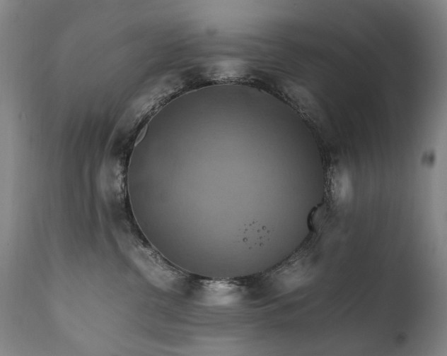 X0000110990380200906191433
