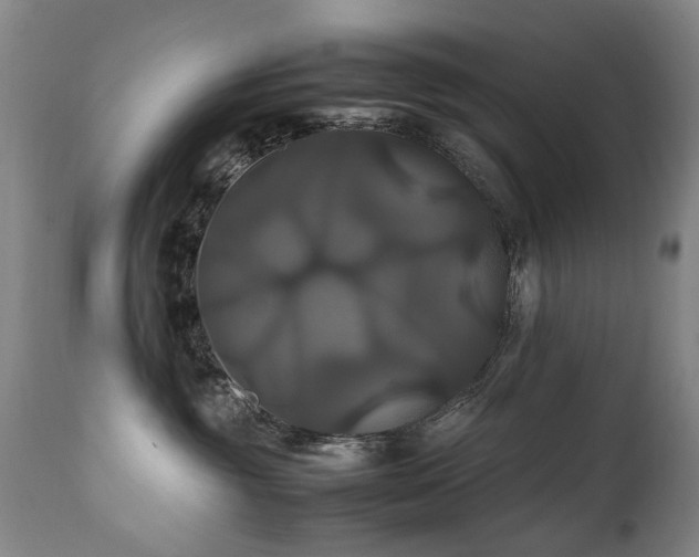 X0000110990381200906191433