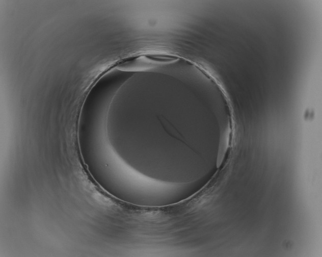 X0000110990385200906191432