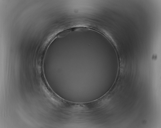 X0000110990386200906191432