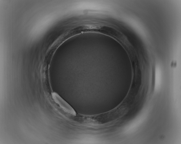 X0000110990387200906191432