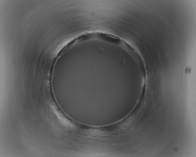 X0000110990389200906191432