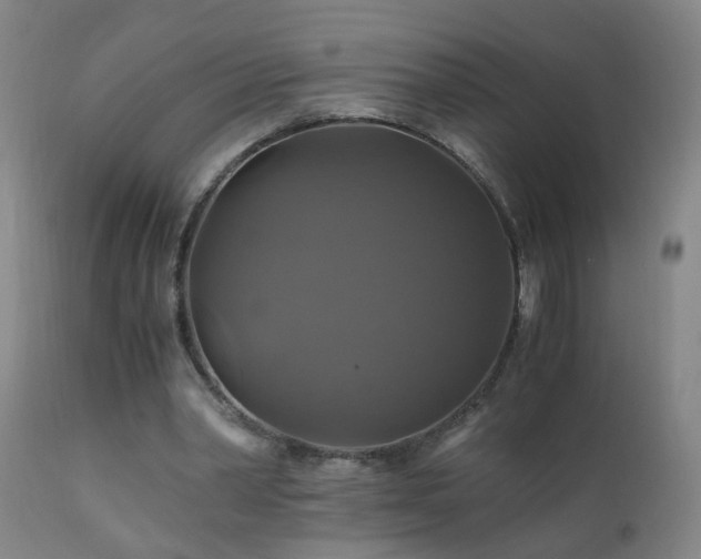 X0000110990390200906191432