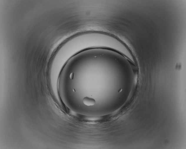 X0000110990391200906191432
