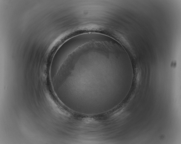 X0000110990392200906191432