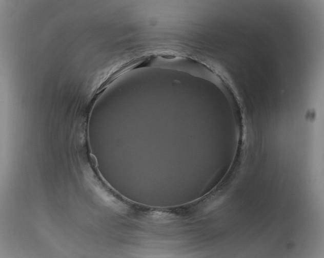 X0000110990393200906191432