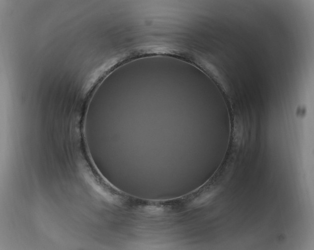 X0000110990394200906191432