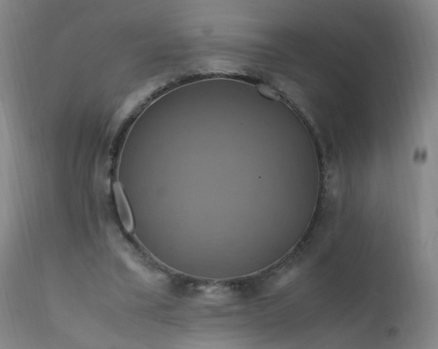 X0000110990395200906191432