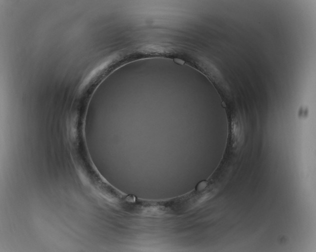 X0000110990396200906191432