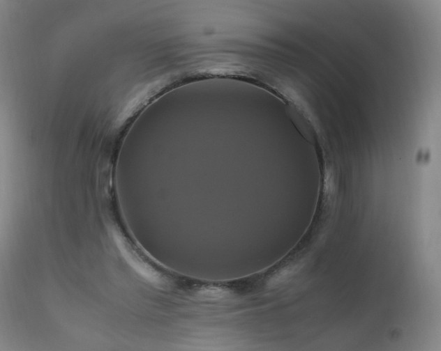 X0000110990397200906191432