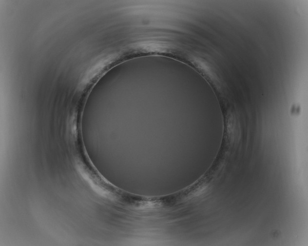 X0000110990398200906191432