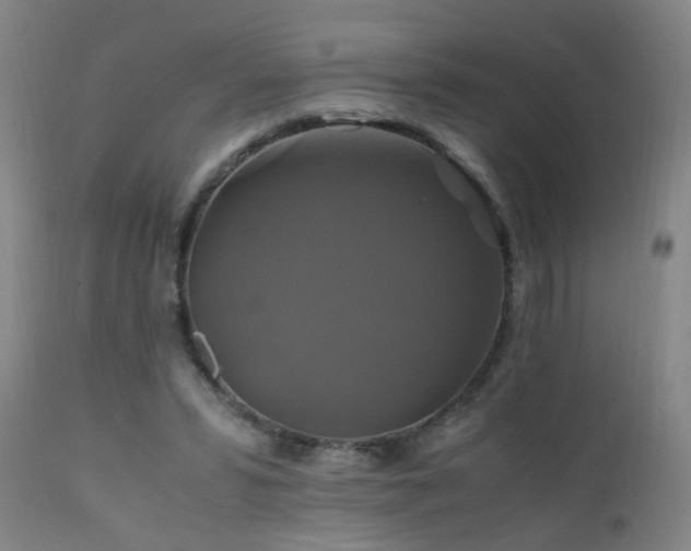 X0000110990399200906191432