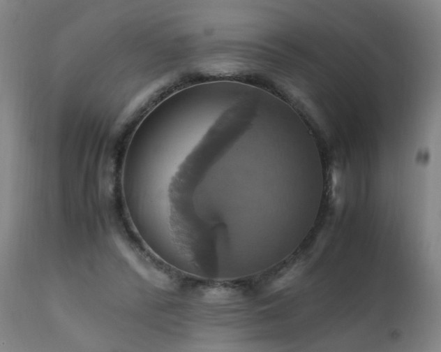 X0000110990400200906191432