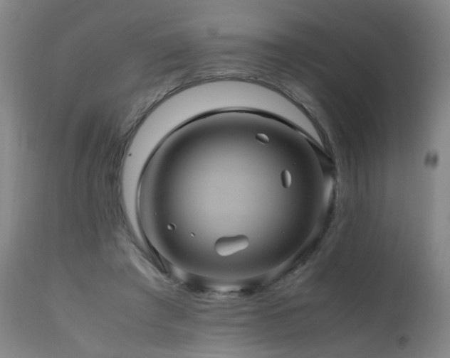 X0000110990401200906191432