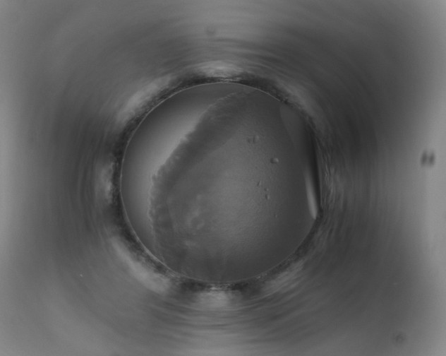 X0000110990404200906191432