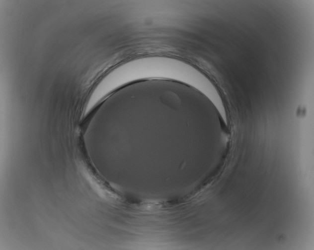 X0000110990405200906191432