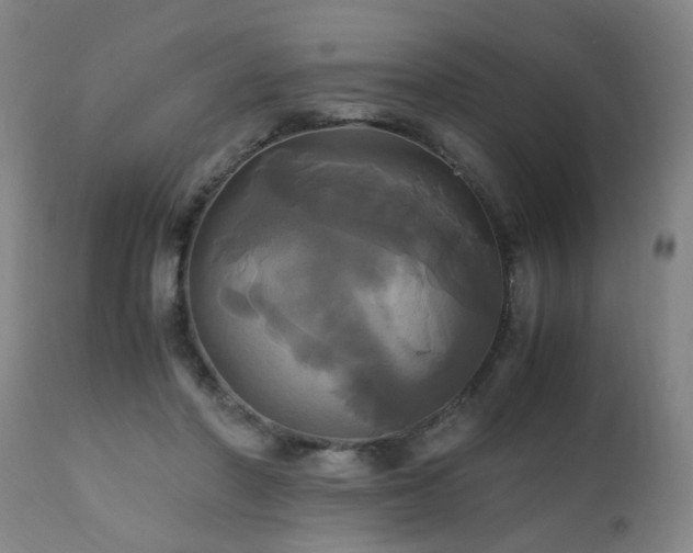 X0000110990406200906191432