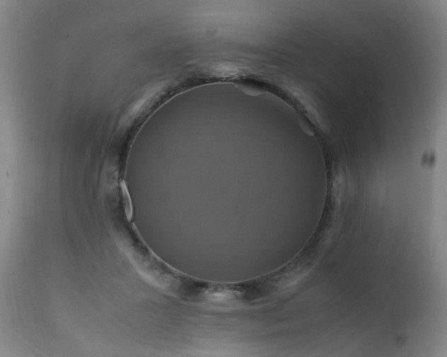 X0000110990407200906191432