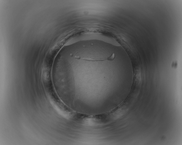 X0000110990408200906191432
