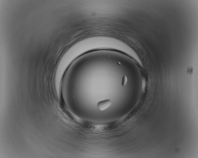 X0000110990409200906191432
