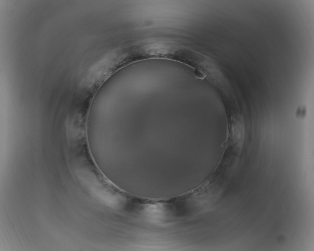 X0000110990411200906191432