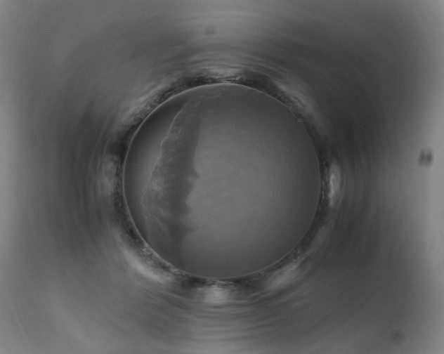 X0000110990412200906191432