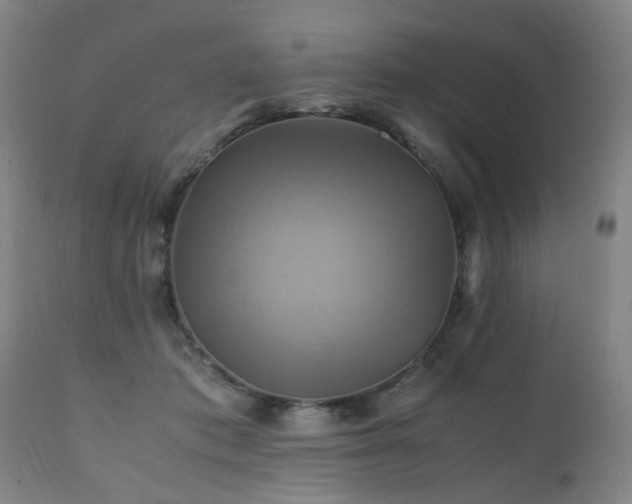X0000110990413200906191432