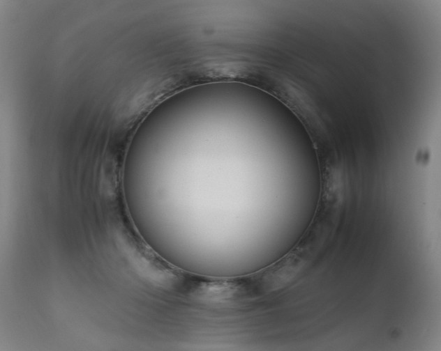 X0000110990414200906191432