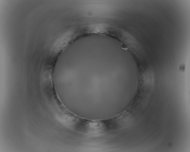 X0000110990415200906191432