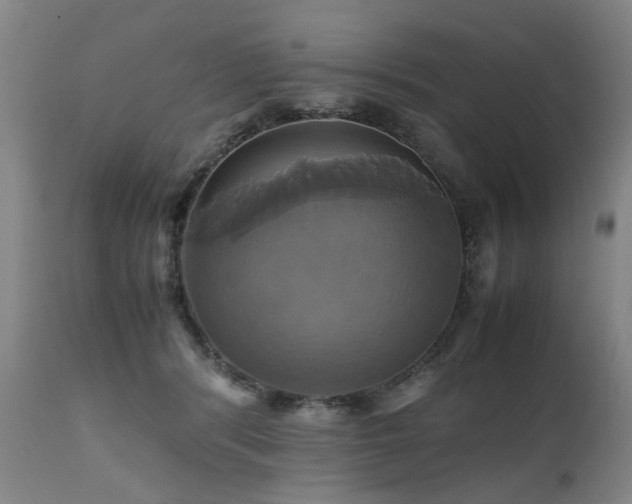 X0000110990416200906191432