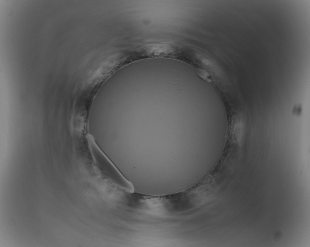 X0000110990417200906191432
