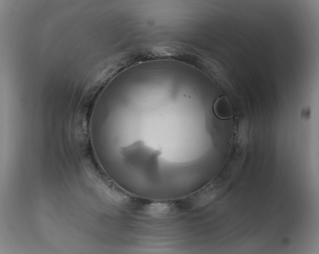 X0000110990418200906191432