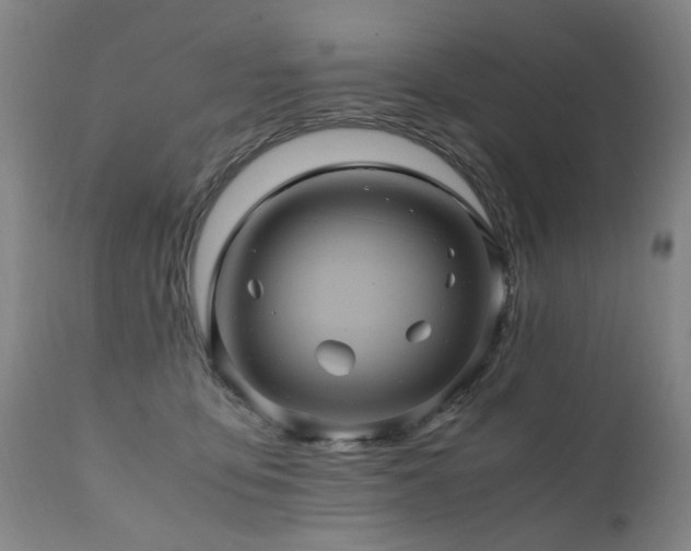 X0000110990419200906191431