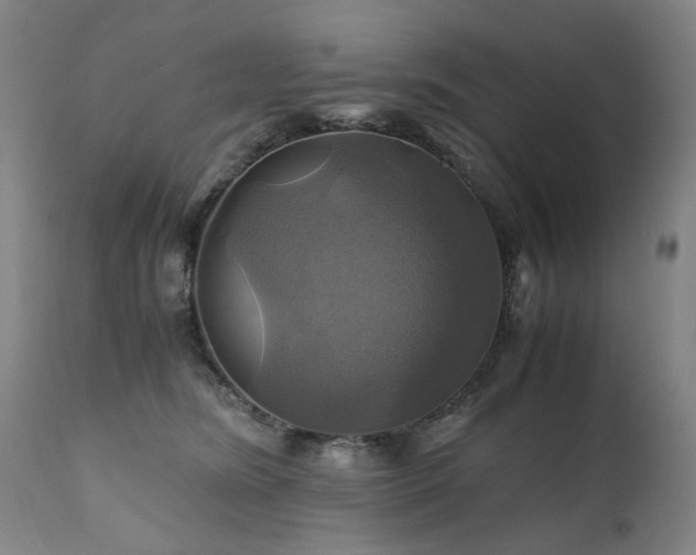 X0000110990420200906191431