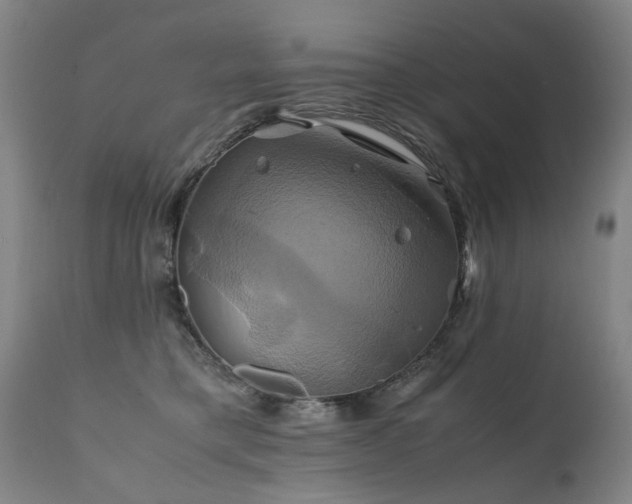 X0000110990421200906191431