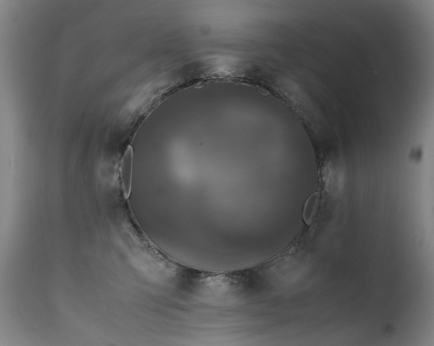 X0000110990423200906191431