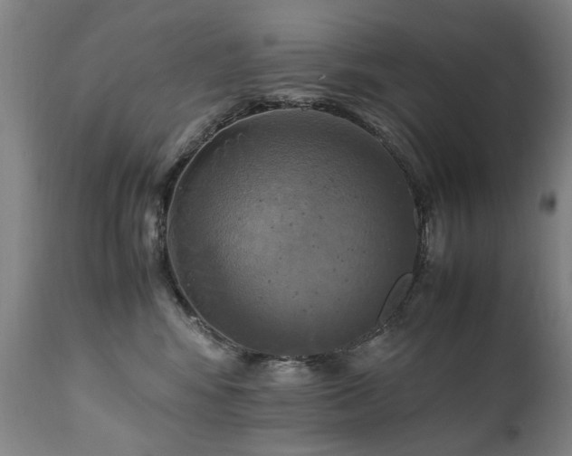 X0000110990424200906191431