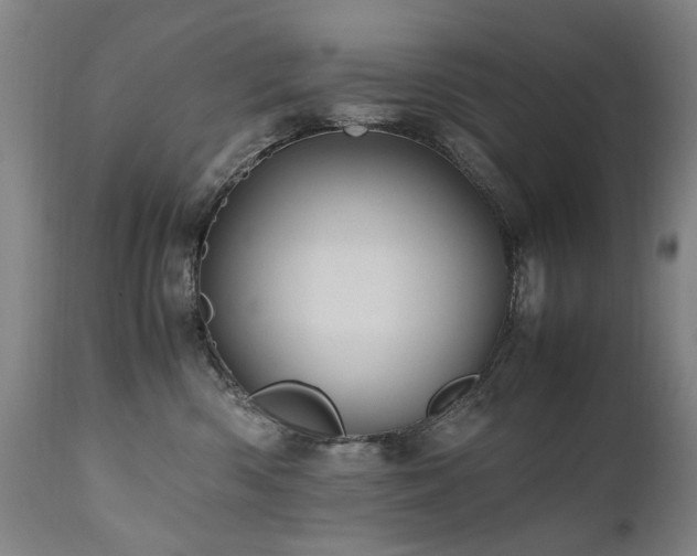 X0000110990426200906191431