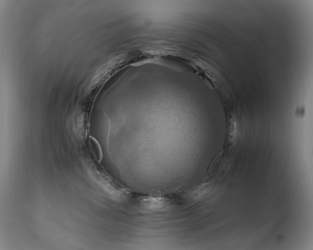 X0000110990428200906191431