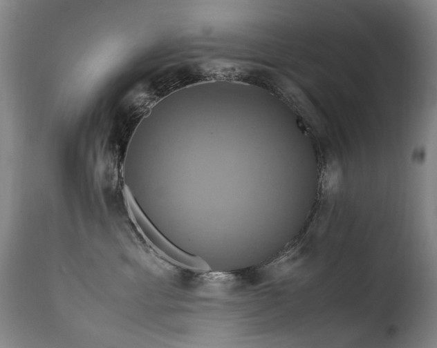 X0000110990429200906191431