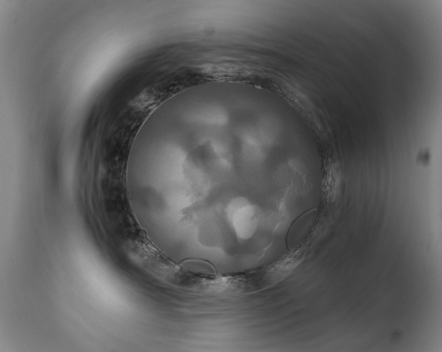 X0000110990430200906191431