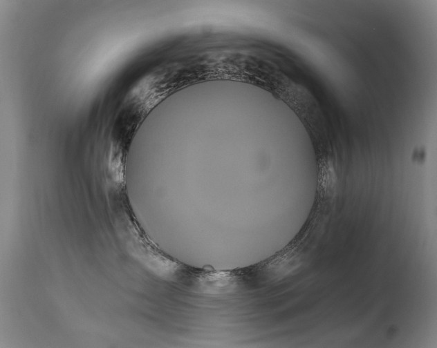 X0000110990431200906191431