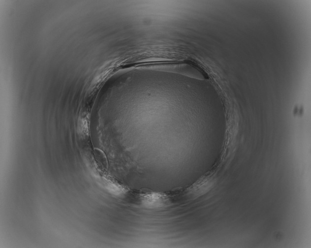 X0000110990432200906191431