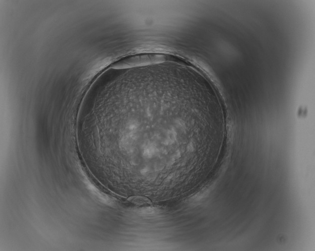 X0000110990433200906191431