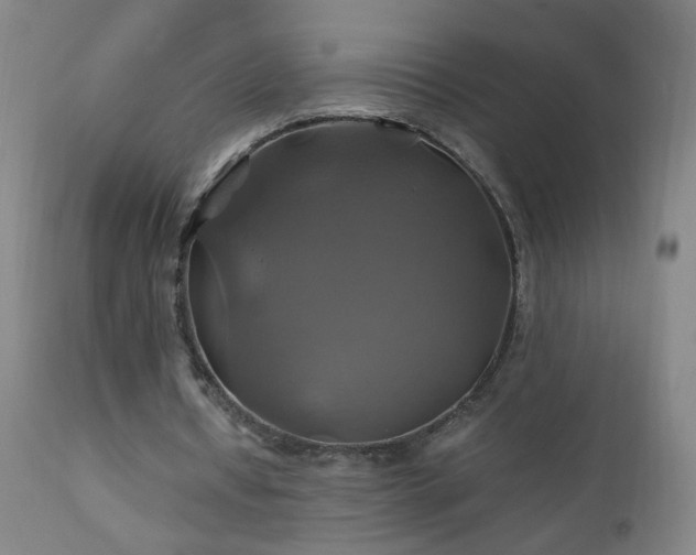 X0000110990434200906191431