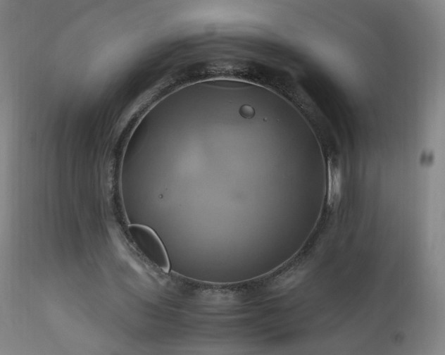 X0000110990435200906191431