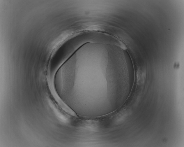 X0000110990436200906191431
