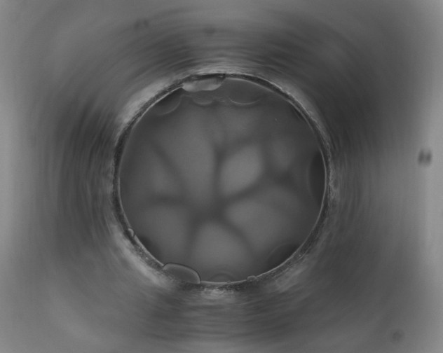 X0000110990437200906191431