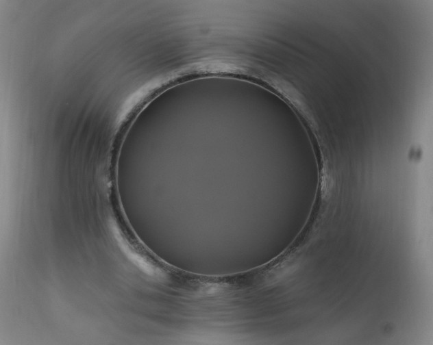 X0000110990438200906191431